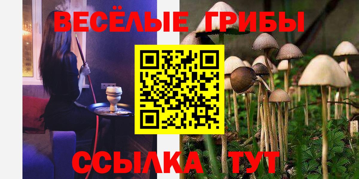 Псилоцибиновые грибы MAGIC MUSHROOMS  Вход с VPN  Кольчугино 